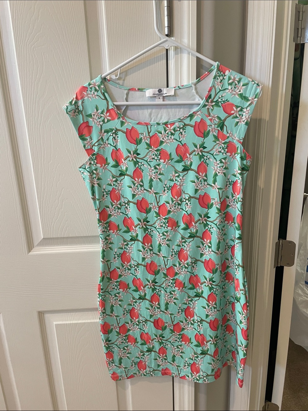 Cap Sleeve Mint Floral Mini Dress with Coral lemon Print